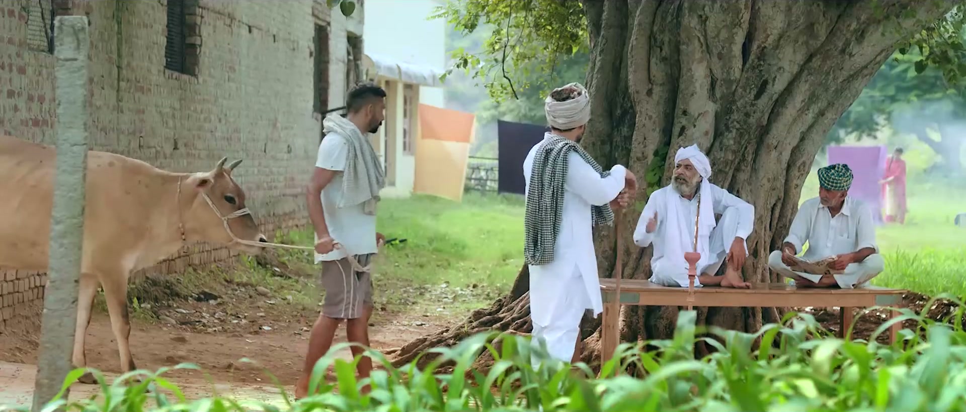 Wide of the village square under the banyan, men and a cow